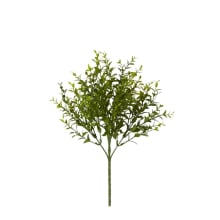 Boxwood Bush - 20 x 20 x 34cm 