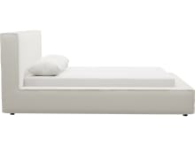 Riley Bed Frame Tribute Shell color Tribute Shell