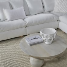Bon Coffee Table - White Wash color White Wash