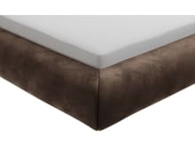 Frankie Bed Muse Chocolate color Muse Chocolate