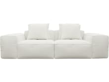 Riley Tribute Shell Modular Sofa - 2 Seater color Tribute Shell