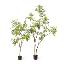 Mahonia Tree - 180cm color Green