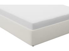 Leo Bed Base Tribute Shell color Tribute Shell