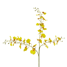 Dancing Orchid Spray - 23 x 10 x 97 cm 