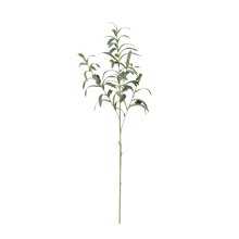 Olive Spray - 81cm color Green