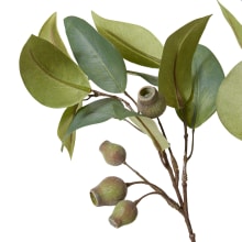 Eucy Gum Nut Spray Green - 84cm color Green