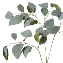 Eucalyptus Spray - 50 x 36 x 93cm 