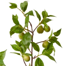 Fruit Branch - 119cm color Green