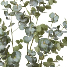 Eucalyptus Tree Green - 60cm x 50cm x 150cm 