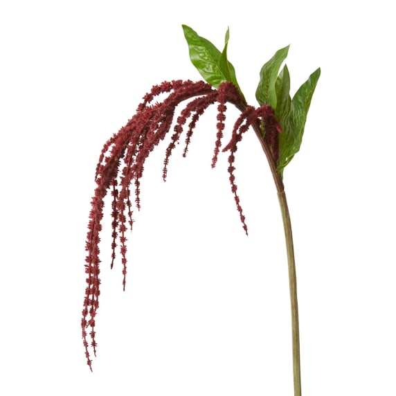Amaranthus Spray Burgundy - 114CM color Burgundy