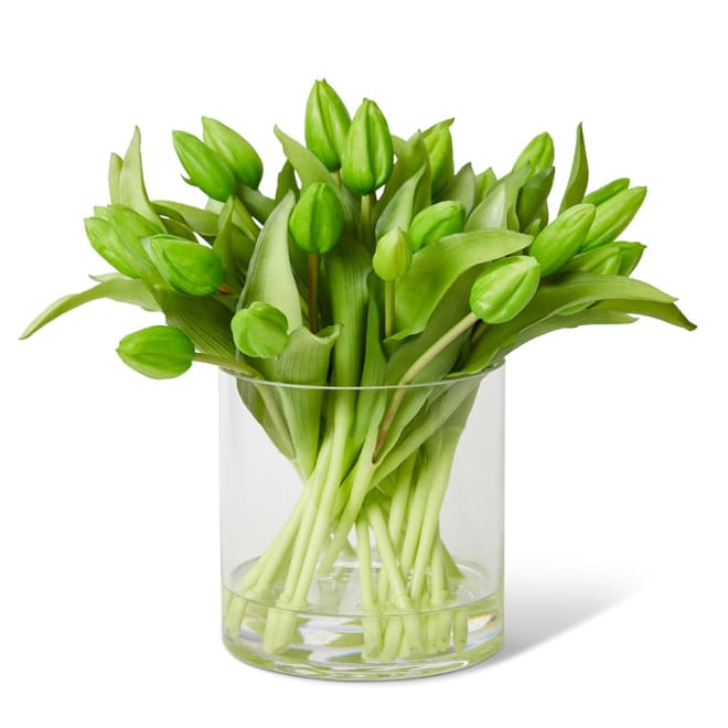 Tulip Bud Green Green/Clear - 31 x 31 x 31cm color Green/Clear