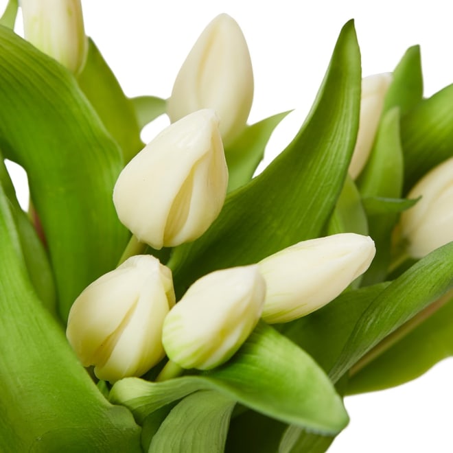 Tulip Bud White White/Clear - 31 x 31 x 31cm color White/Clear