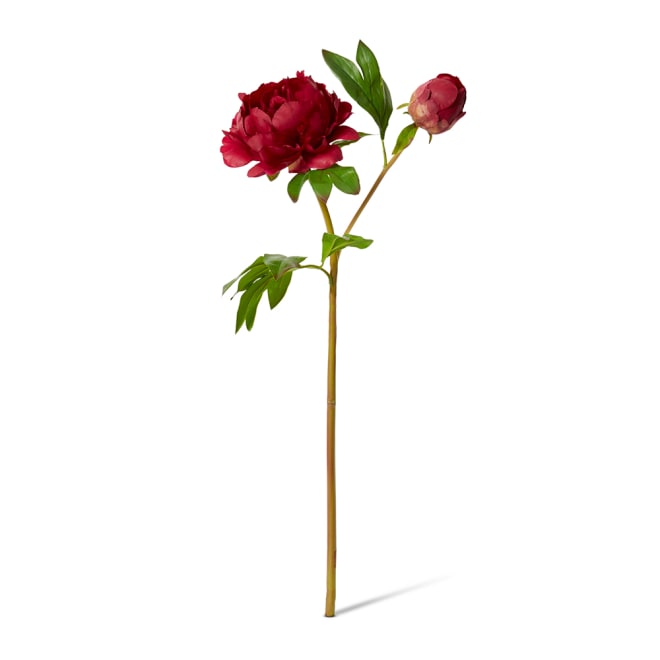 Peony Garden Spray (RT) - 30 x 20 x 62cm color Burgundy