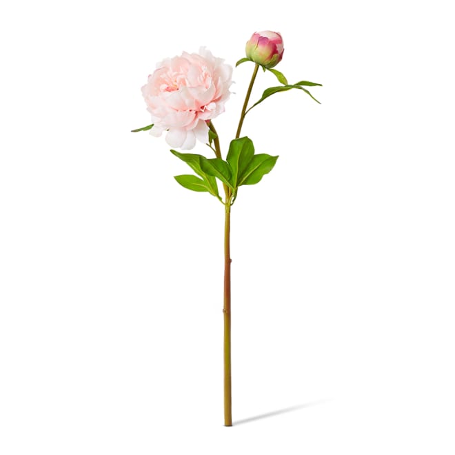 Peony Garden Spray (RT) - 30 x 20 x 62cm color Pink
