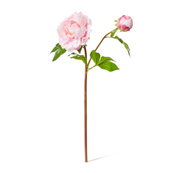 Peony Garden Spray (RT) - 30 x 20 x 62cm color Soft Pink