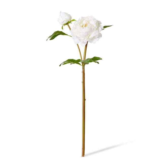 Peony Garden Spray (RT) - 30 x 20 x 62cm color White