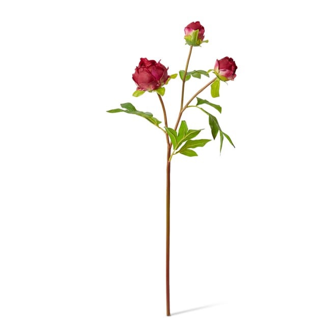 Peony Bud Spray (RT) - 25 x 25 x 62cm color Burgundy