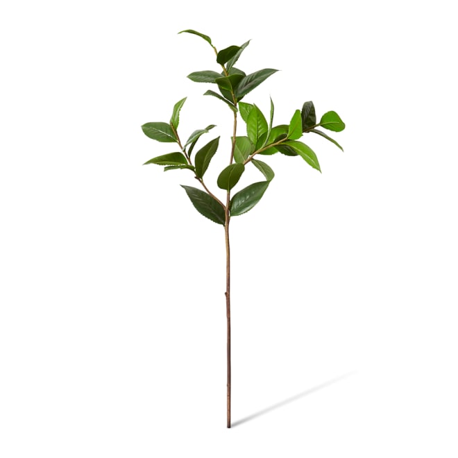 Camellia Leaf Spray - 28 x 28 x 84cm 