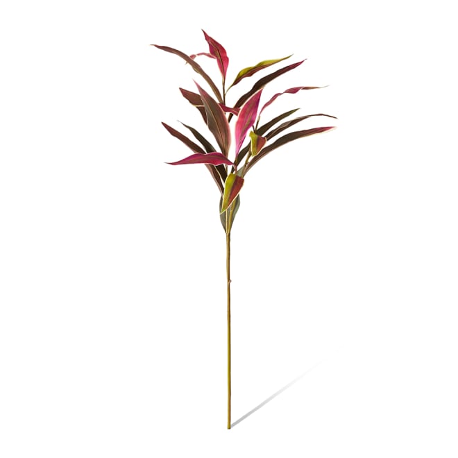 Cordyline Spray - 45 x 15 x 104cm