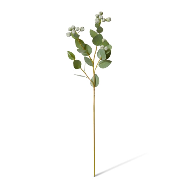 Eucalyptus Seed Pod Spray - 24 x 12 x 74cm