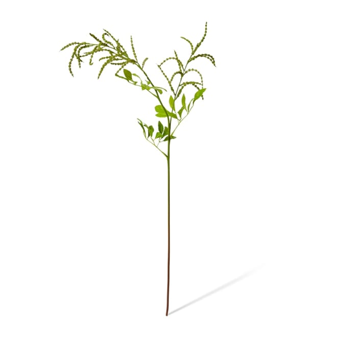 Astilbe Spray Green - 23 x 12 x 69cm color Green