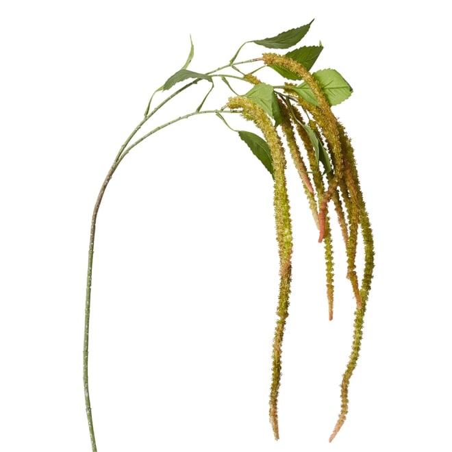 Amaranthus Spray Green/Pink - 9 x 25 x 134cm color Green/Pink