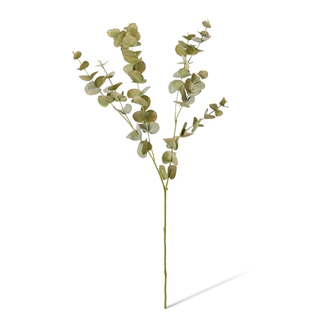 Eucalyptus Leaf Spray - 32 x 20 x 101cm color Grey Green