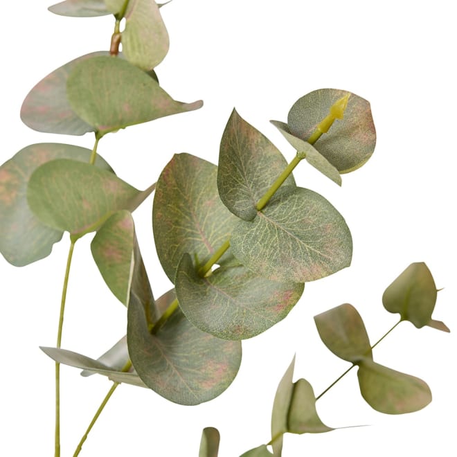 Eucalyptus Leaf Spray - 32 x 20 x 101cm color Grey Green