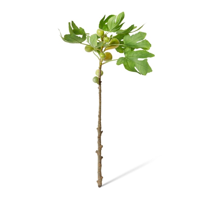Fig Branch Green - 40 x 40 x 89cm color Green