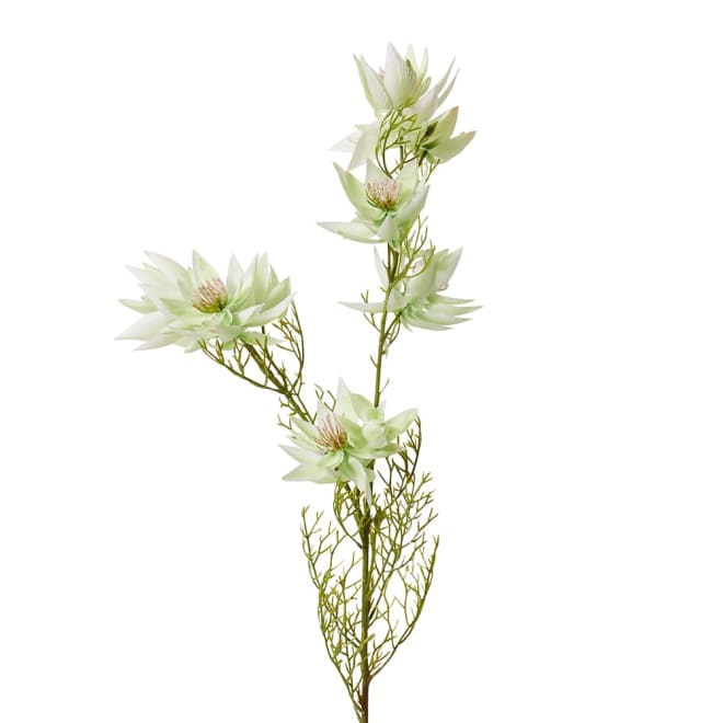 Blushing Bride Spray White - 21 x 21 x 68cm color White