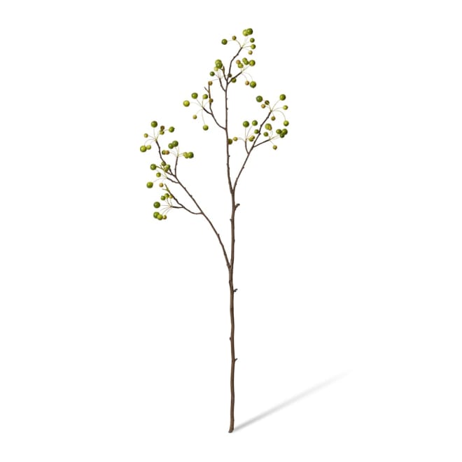 China Berry Spray Green - 35 x 20 x 98cm color Green