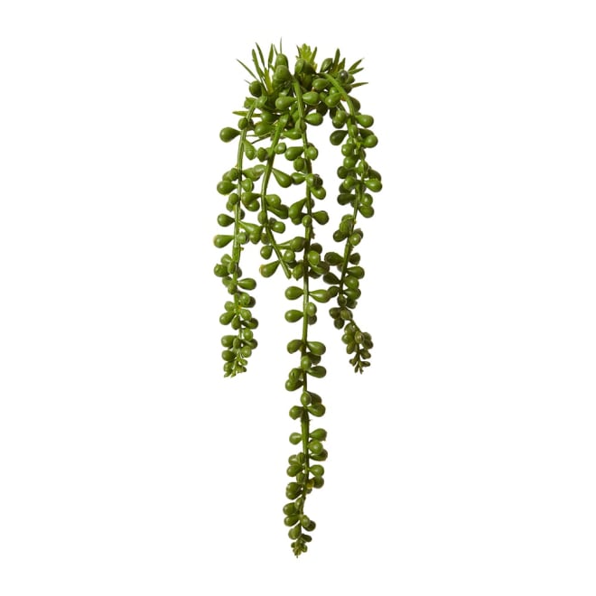 String of Pearls Hanging Plant - 8 x 8 x 31cm color Green