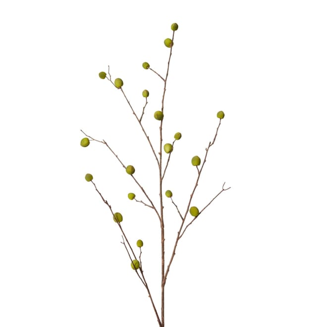 Berry Pod Dried Look Branch Green - 20 x 8 x 108cm color Green