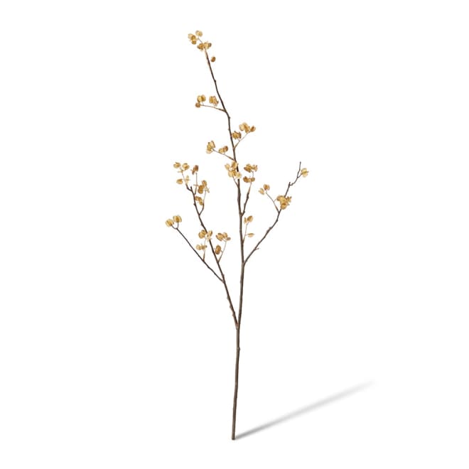 Elm Seeding Spray Natural - 34 x 24 x 84cm color Natural