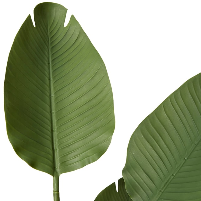 Bird of Paradise (Outdoor) - 80 x 80 x 120cm 