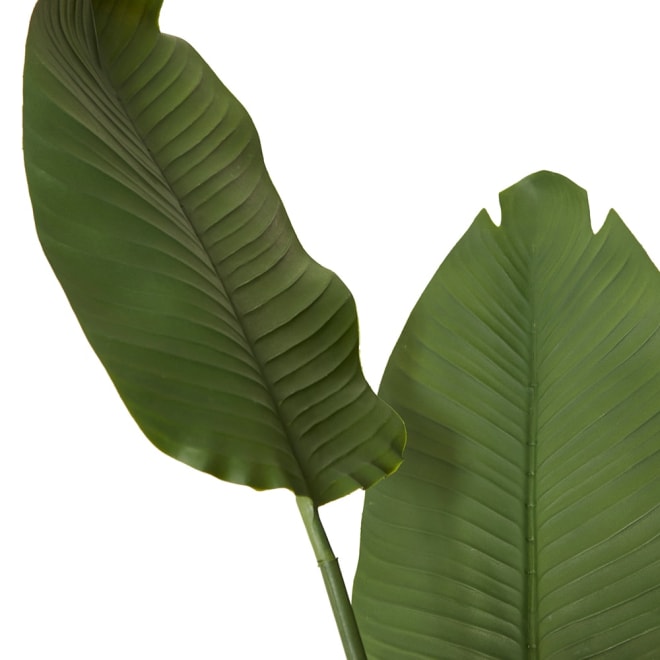 Bird of Paradise (Outdoor) - 902 x 90 x 159cm 