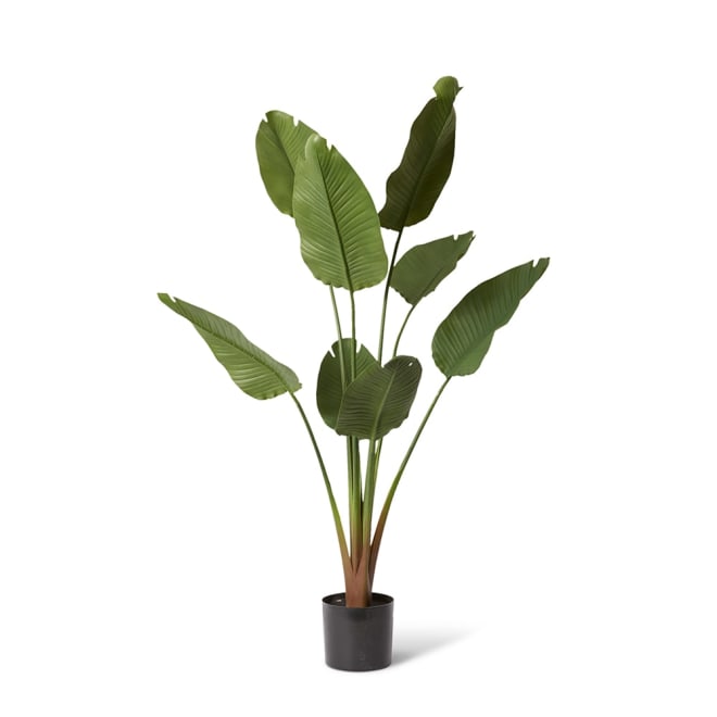 Bird of Paradise (Outdoor) - 902 x 90 x 159cm 