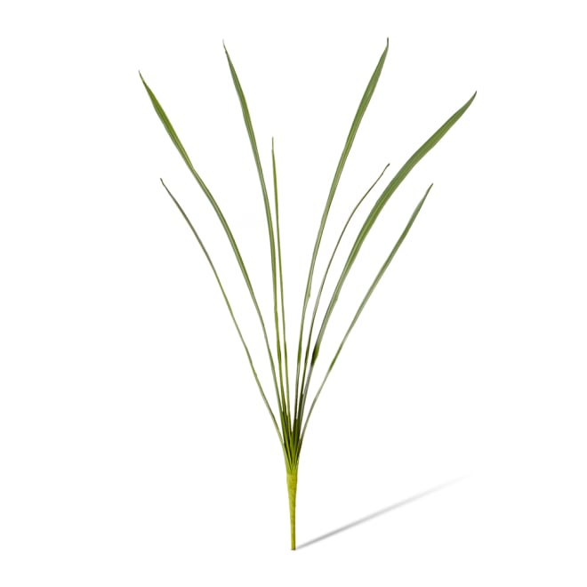 Orchid Cymbidium Foliage Green - 38 x 4 x 84cm color Green
