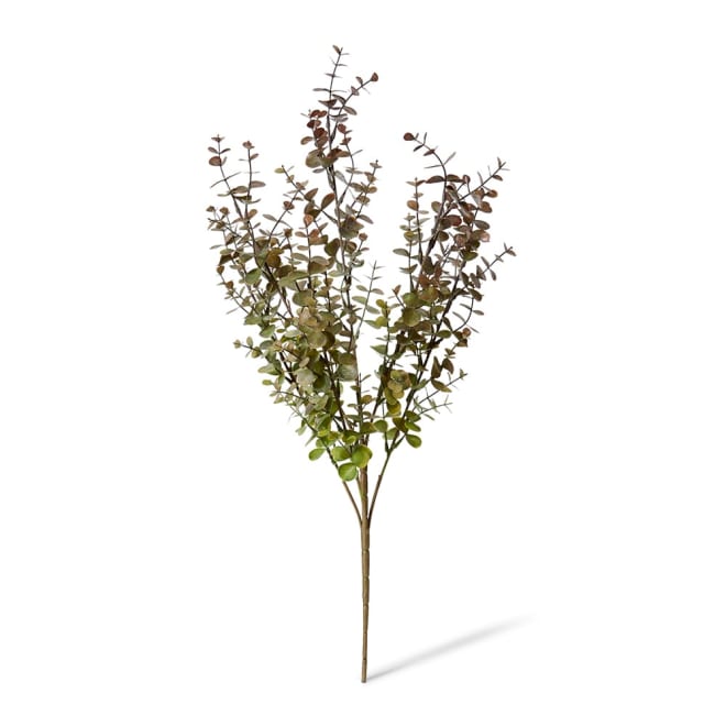 Eucalyptus Bush Green Burgundy - 30 x 30 x 56cm color Green Burgundy