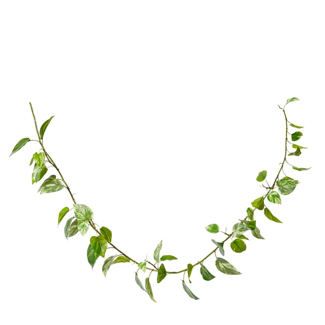 Pothos (Outdoor) Garland - 16 x 8 x 180cm
