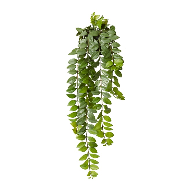 Honey Locust Hanging Bush - 21 x 21 x 76cm 