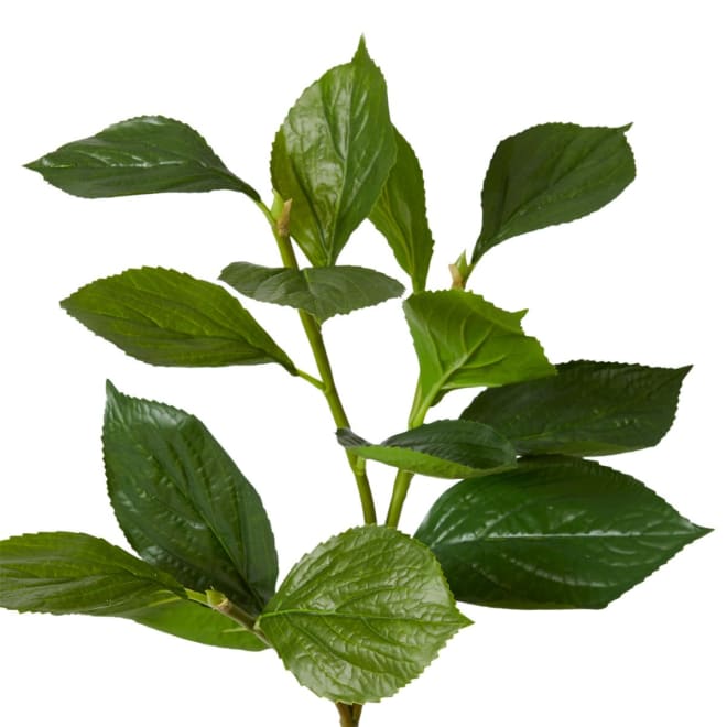 Hydrangea Leaf Spray - 30 x 30 x 81cm 