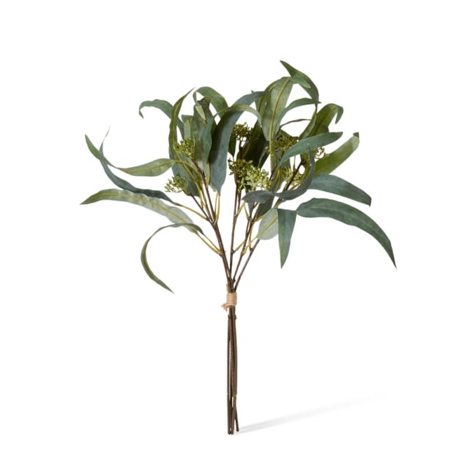 Eucalyptus Seeding Bundle - 30 x 30 x 47cm