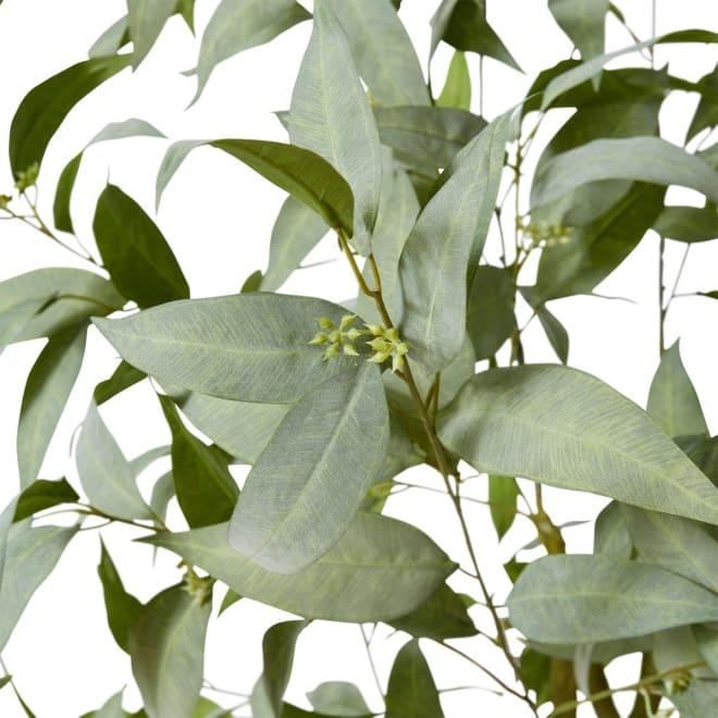 Gum Tree - 80 x 80 x 160cm 