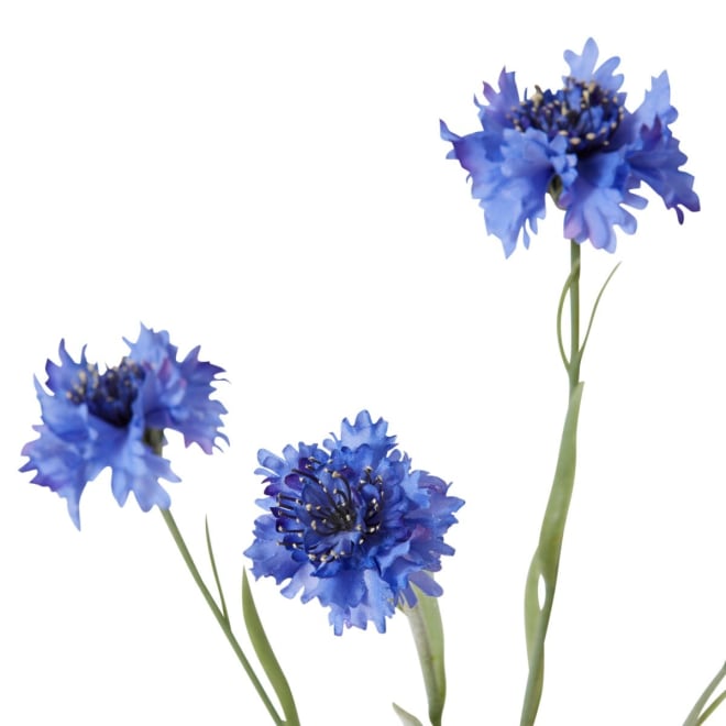 Corn Flower Spray - 8 x 3 x 61cm color Blue