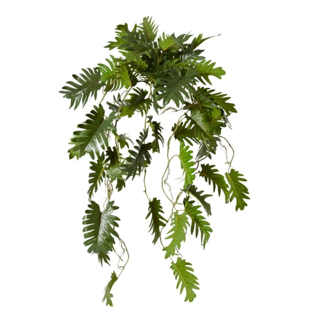 Philodendron Hanging Plant Potted - 38 x 35 x 84cm