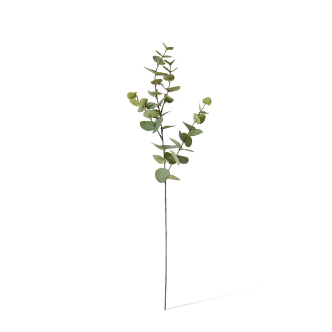 Eucalyptus Dollar Spray - 21 x 8 x 94cm 