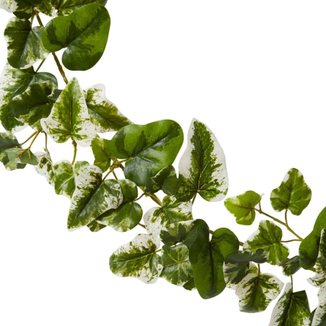 Ivy Kangaroo Garland - 15 x 10 x 180cm 