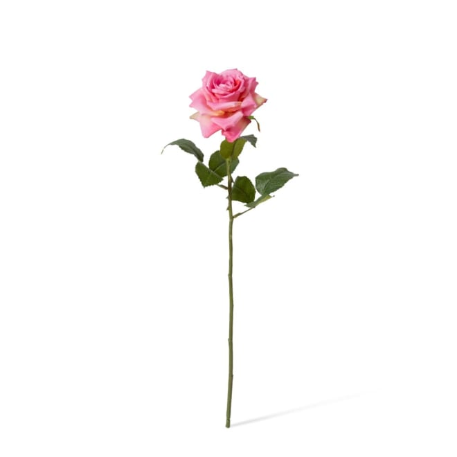 Rose Classic Stem Pink - 9 x 7 x 46cm color Pink