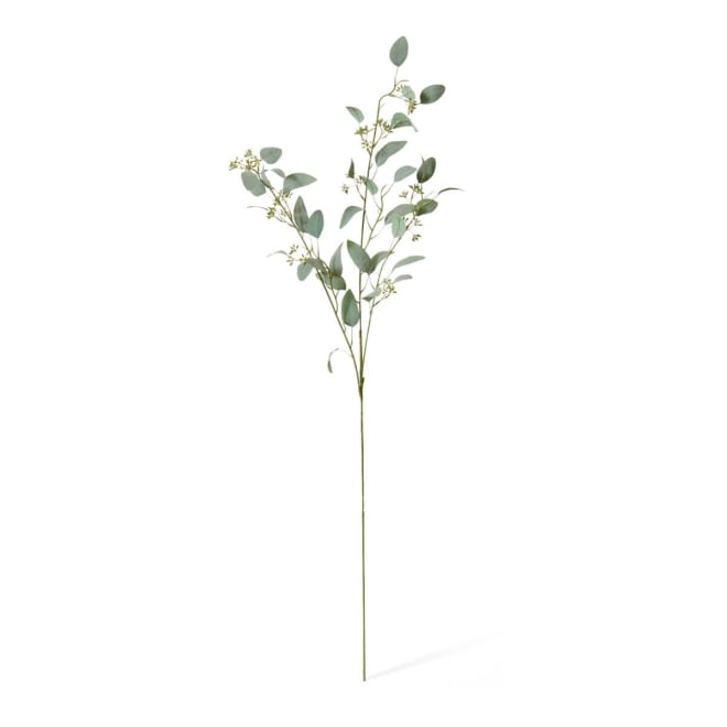 Eucalyptus Seed Spray - 15 x 10 x 75cm 
